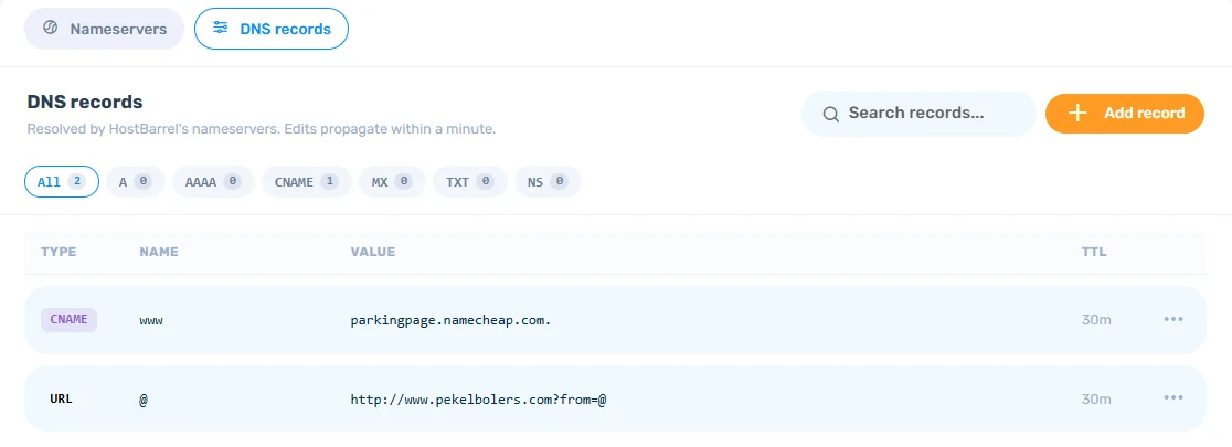 DNS records tab showing a CNAME and URL record for a domain, with an Add record button