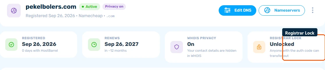Domain detail page showing Registered, Renews, WHOIS Privacy, and Registrar Lock status cards