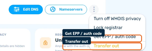Domain detail page's options menu showing Get EPP/auth code and Transfer out actions